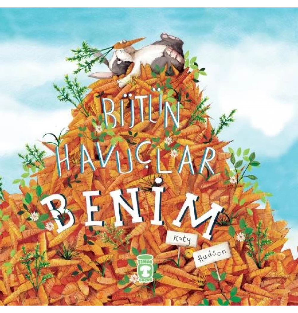 Bütün Havuçlar Benim Katy Hudson Timaş