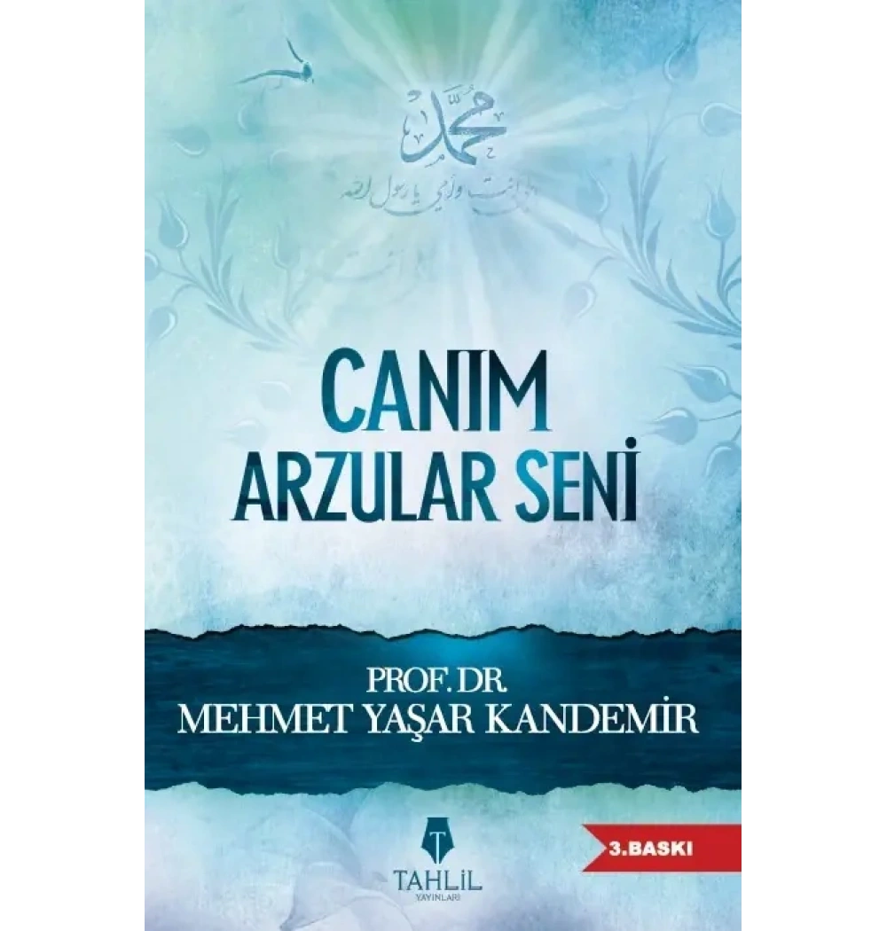 Canım Arzular Seni - Tahlil Yay