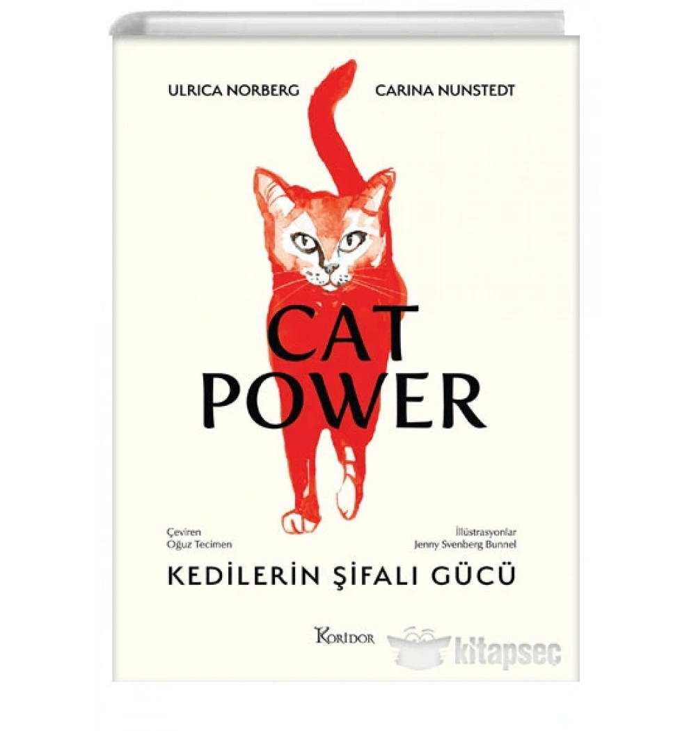 CAT POWER KEDİLERİN ŞİFALI GÜCÜ ULRICA NORBERG KORİDOR YAYIN