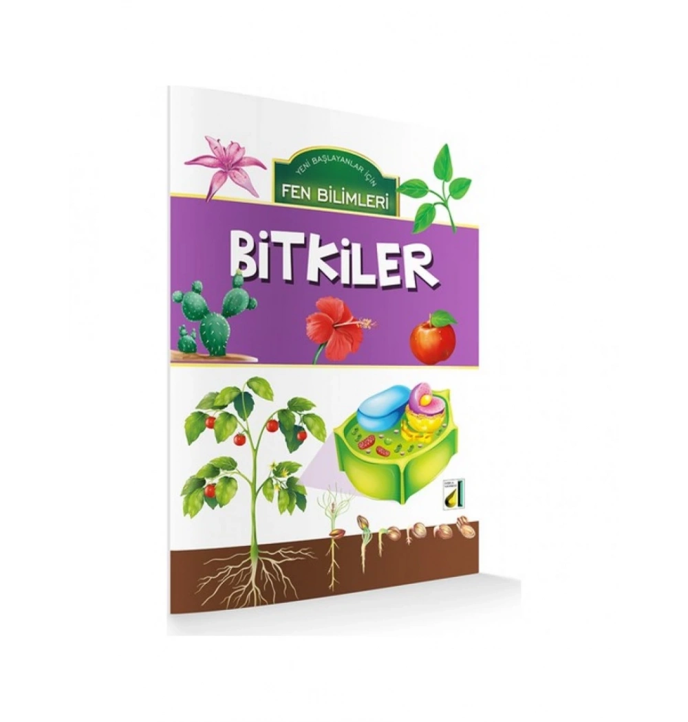 Damla Fen Bilimleri Bitkiler