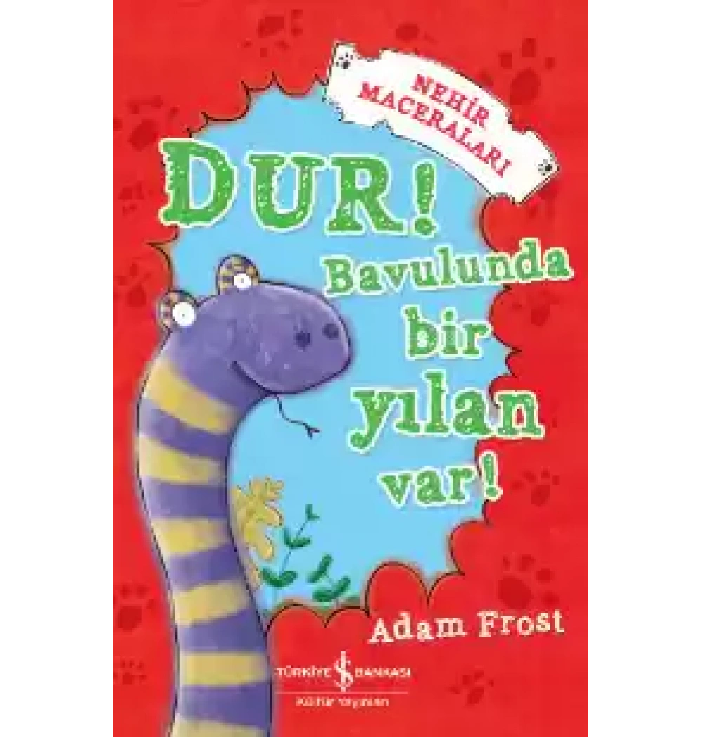 Dur Bavulunda Bir Yılan Var A. Frost İş Bankası