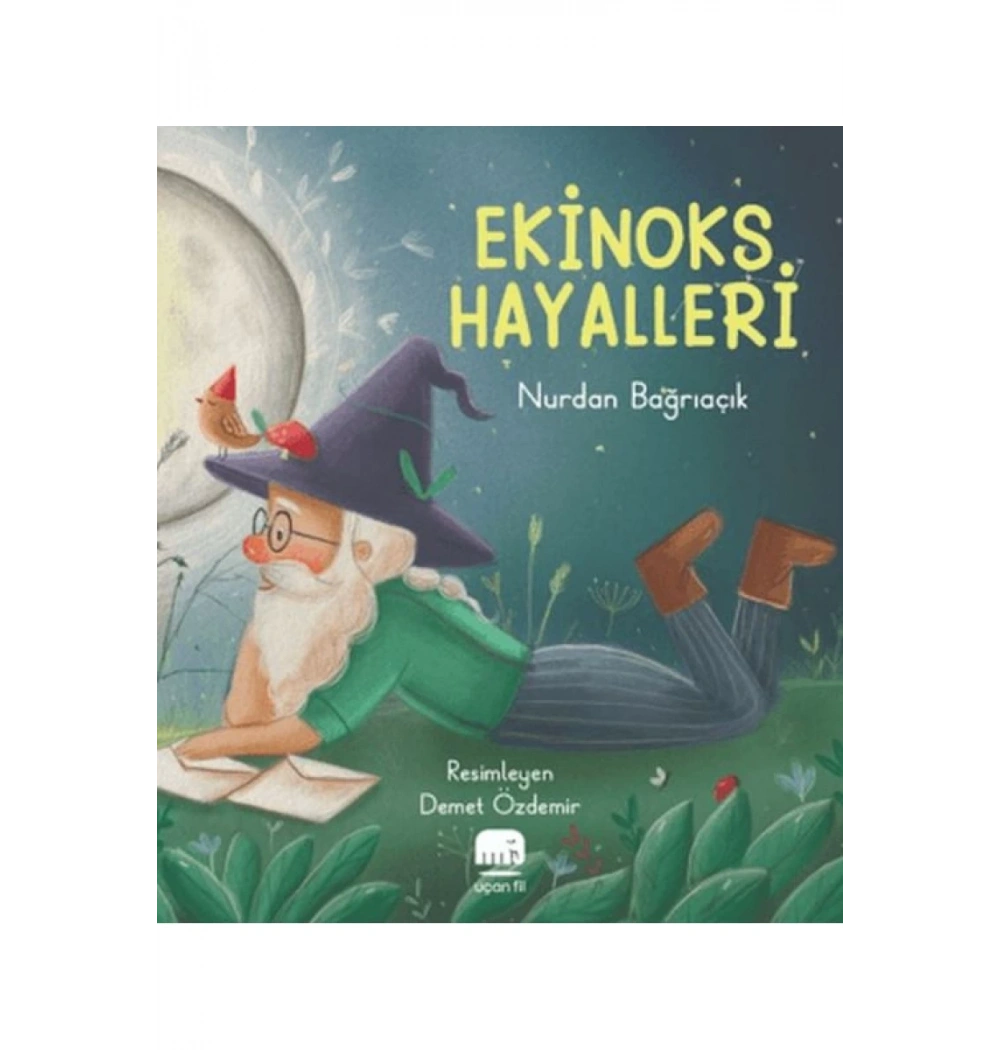 Ekinoks Hayalleri Uçanfil