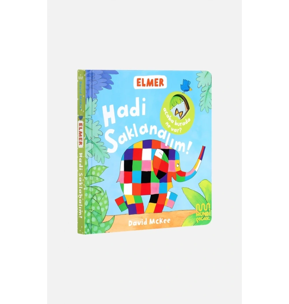 Elmer Kütüphanesi Hadi Saklanalım Mundi