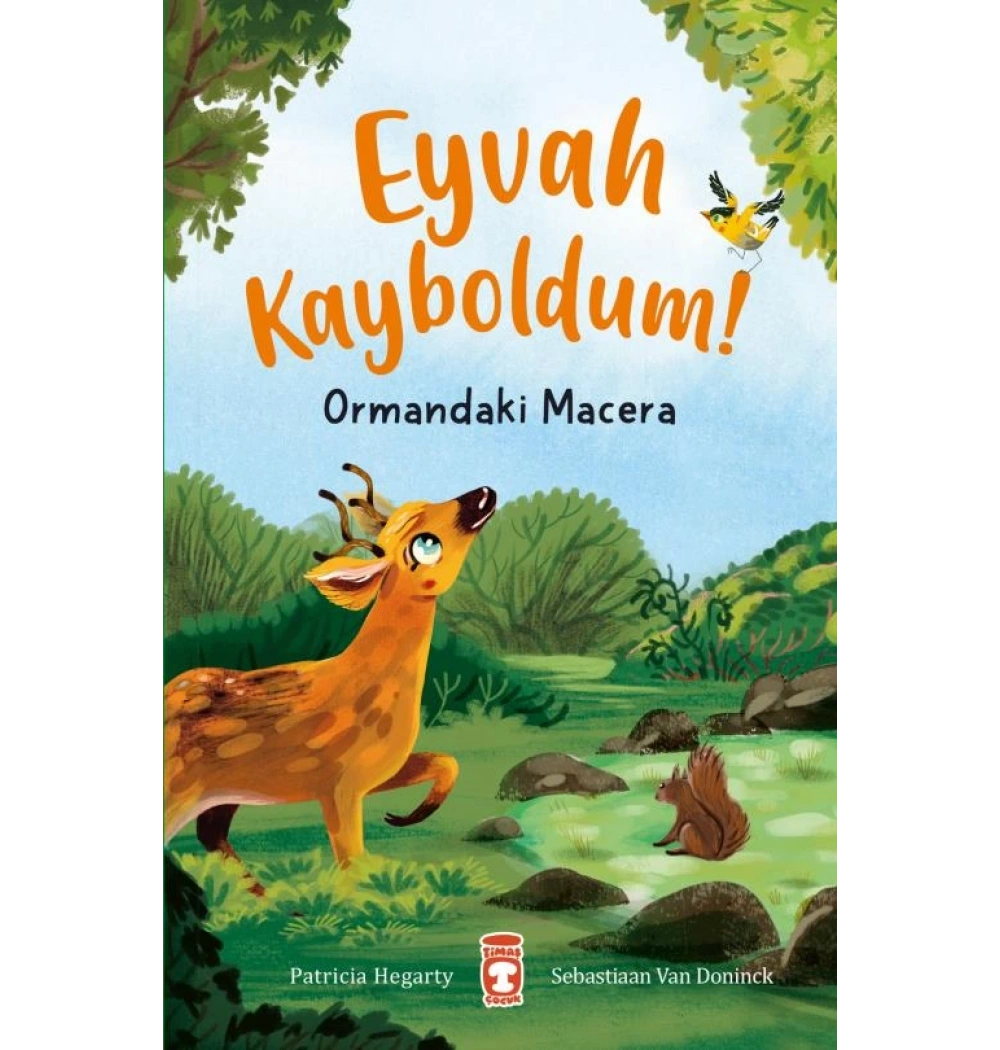 Eyvah Kayboldum Ormandaki Macera Timaş Çocuk