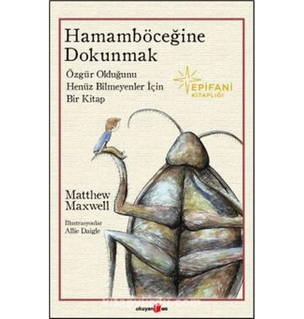 HAMABÖCEĞİNE DOKUNMAK MATTHEW MAXWELL OKUYANUS