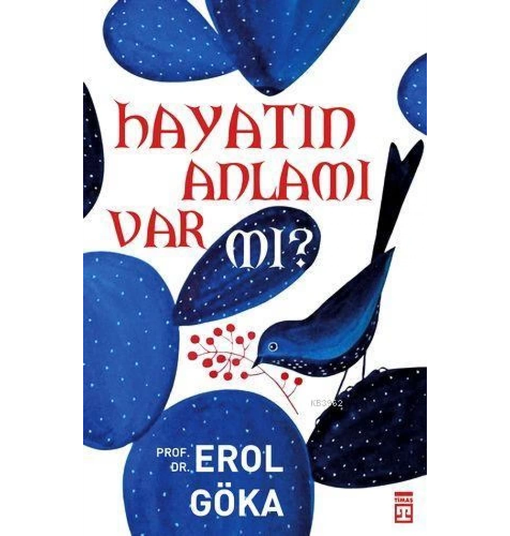 Hayatın Anlamı Var Mı - Timaş