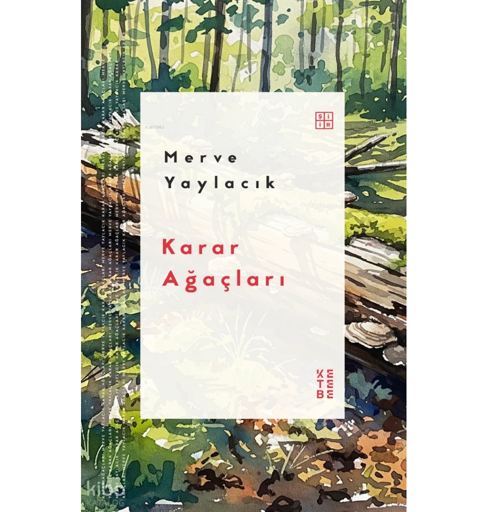 Karar Ağaçları -Şiir- Merve Yaylacık Ketebe
