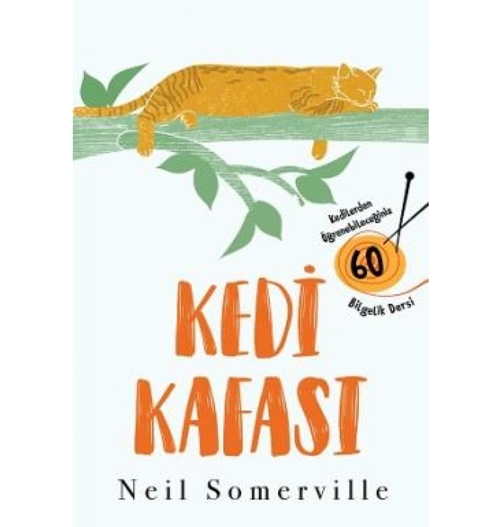 Kedi Kafasi Neil Somerwille Portakal