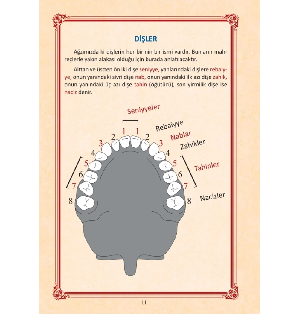 Kuranı Kerimi Tecvid İle Okumaya Hazırlık Elifbası Hatice Yıldız Yasin