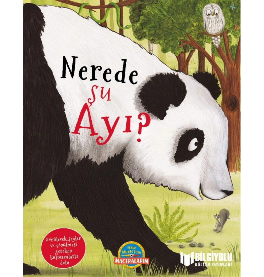 Nerede Şu Ayı Büyük Boy Ciltli Bilgiyolu Kültür