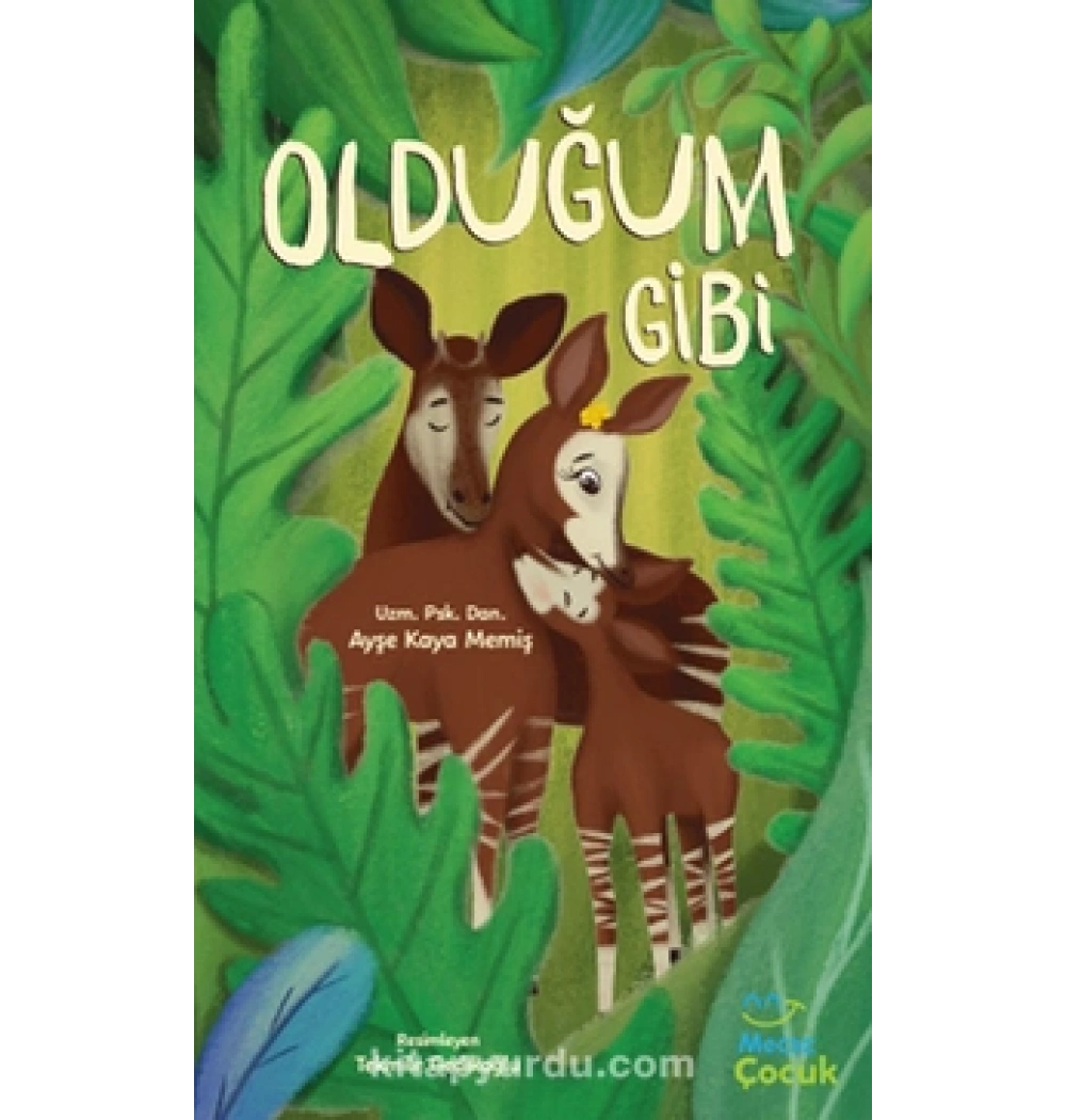 OLDUĞUM GİBİ AYŞE KAYA MECAZ ÇOCUK