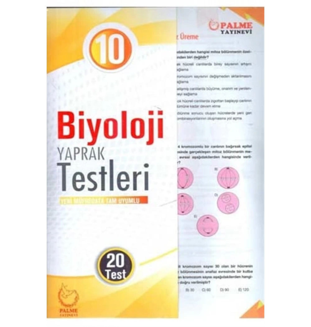 Palme 10.Sınıf Biyoloji Yaprak Test
