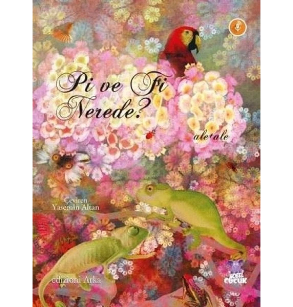Pi Ve Fi Nerede Sesli Kitap Nobel Çocuk