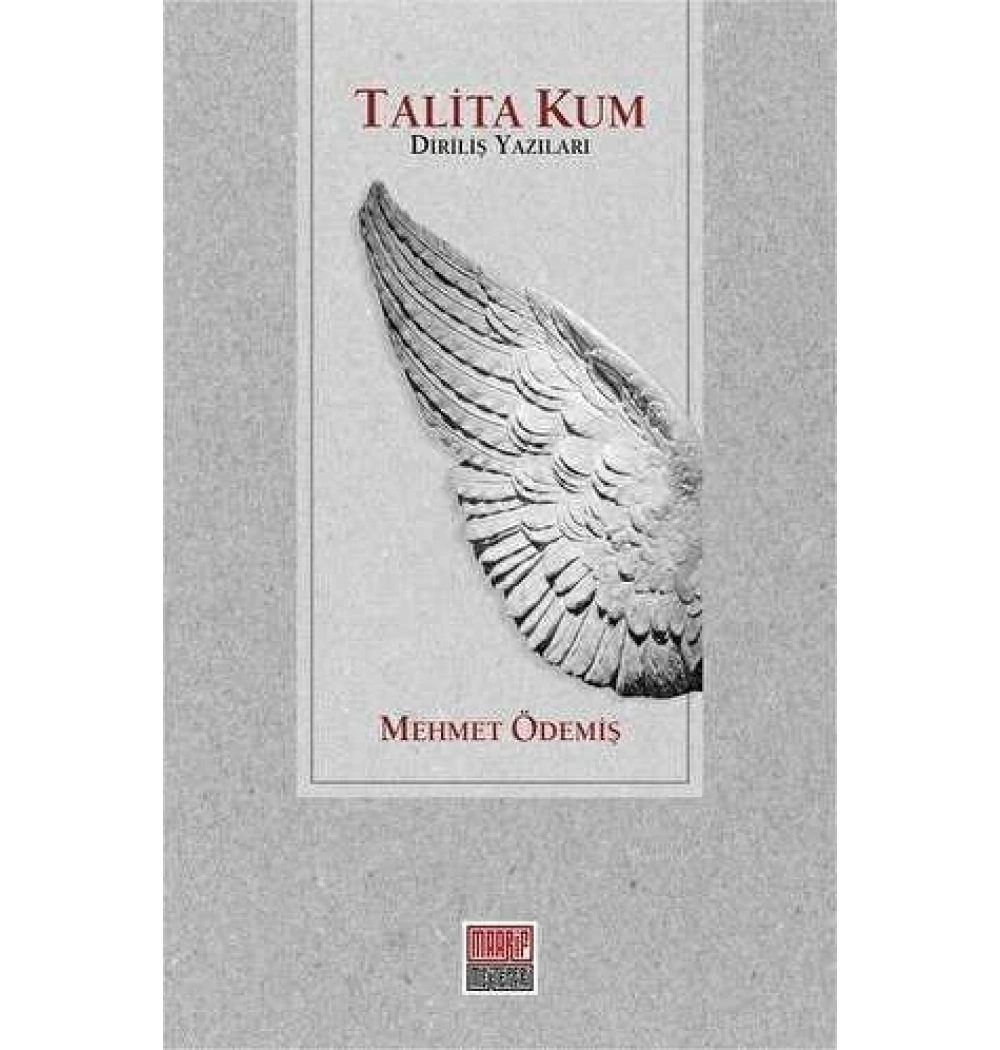 Talita Kum Diriliş Yazıları Mehmet Ödemiş Maarif Mektepleri