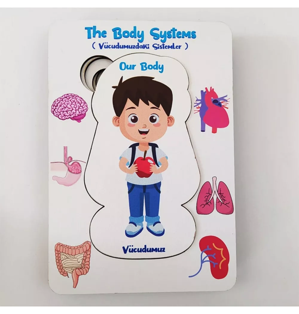 Vücudumuz Eğitime Yardımcı Boyanabilir Zeka Oyuncağı Erkek 5+ Yaş Ve Üzeri Moonbeavers