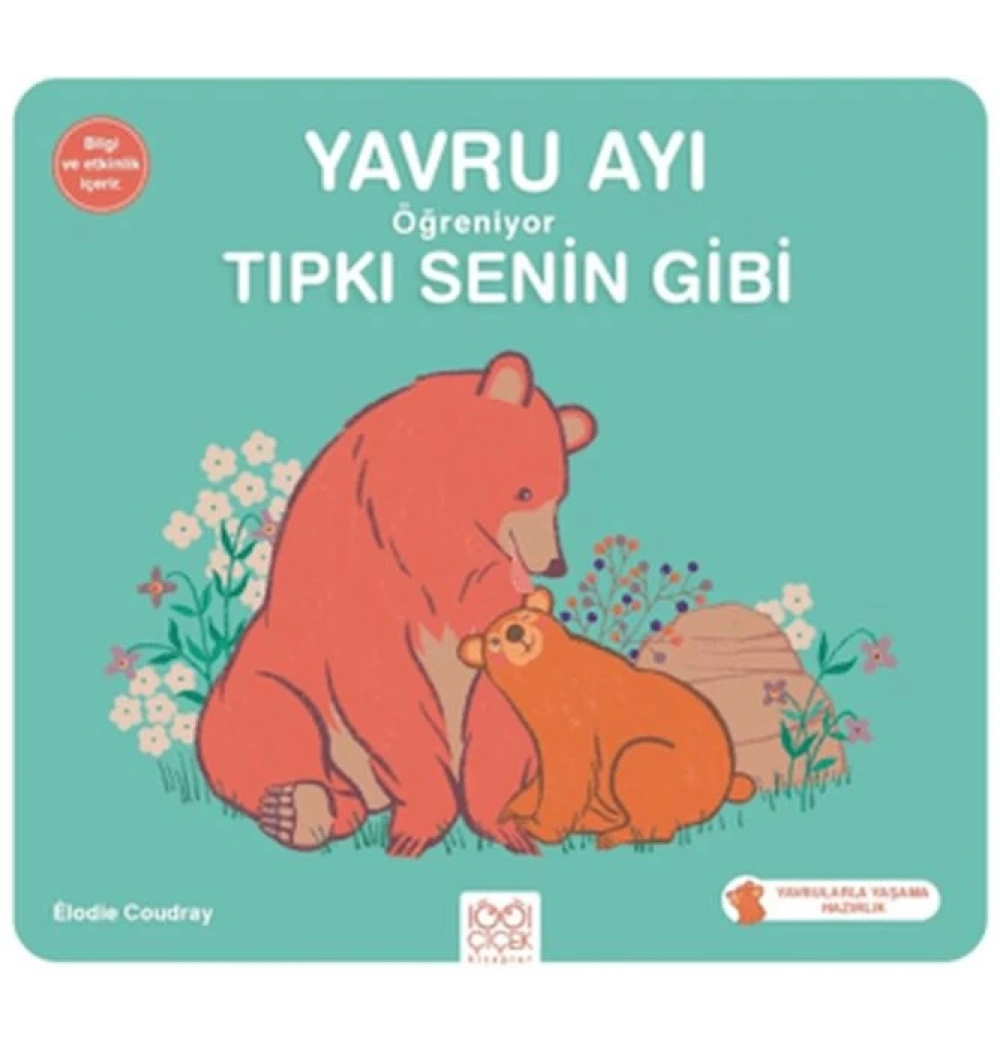 Yavru Ayı Öğreniyor Tıpkı Senin Gibi 1001 Çiçek
