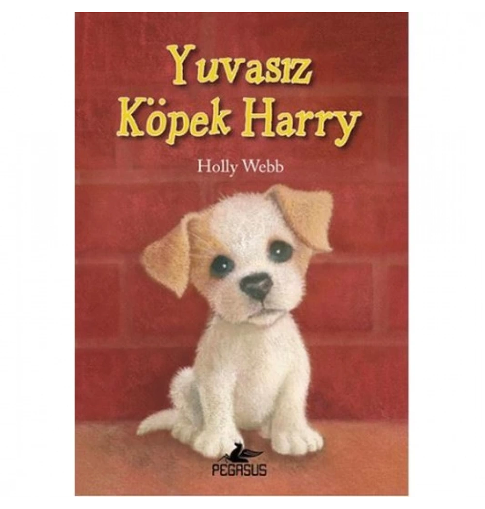 Yuvasiz Köpek Harry Pegasus