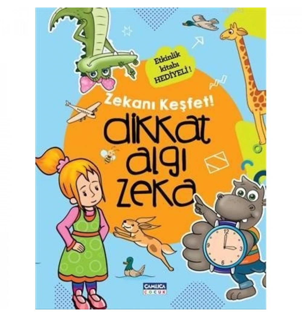 Zekanı Keşfet Dikkat Algı Zeka Seti Çamlıca Çocuk