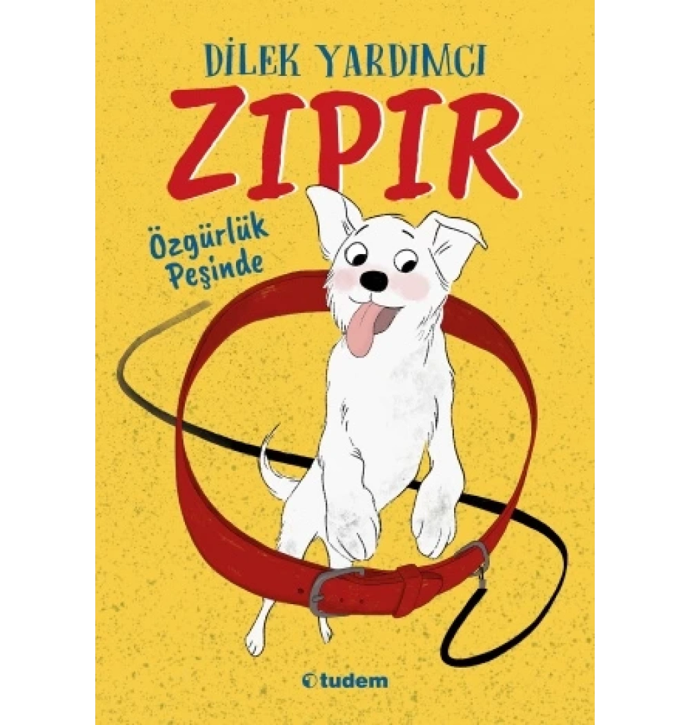 Zıpır Özgürlük Peşinde Dilek Yardımcı Tudem Yayınları