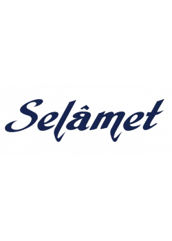 DATA 2026 DGS ÇÖZÜMLÜ 7 FASİKÜL DENEME