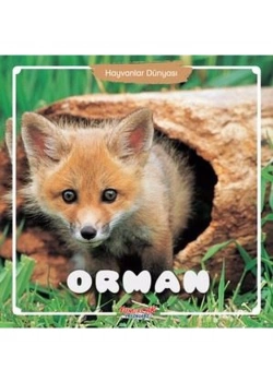 Orman  Hayvanlar Dünyası  Yumurcak