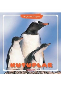 Kutuplar Dünyası  Yumurcak