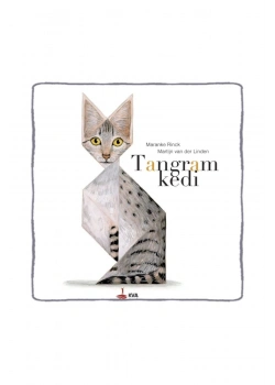 Tangram Kedi Kva Çocuk