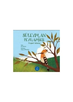 Süleyman Peygamber  Multibem