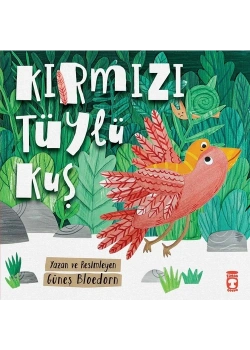 Kırmızı Tüylü Kuş  Güneş Bloedorn  Timaş Çocuk
