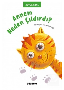 Annem Neden Çıldırdı  Aytül Akal Tudem