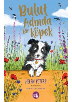 Bulut Adında Bir Köpek     Büyülü Fener