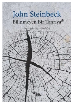 Bilinmeyen Bir Tanrıya John Steinbeck Sel