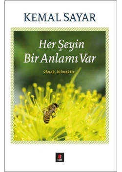 Herşeyin Bir Anlamı Var Kemal Sayar Kapı Yayınları