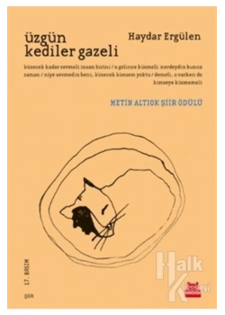 Üzgün Kediler Gazeli   Haydar Ergülen  Kırmızı Kedi