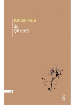 Su Çürüdü Ahmet Telli Everest