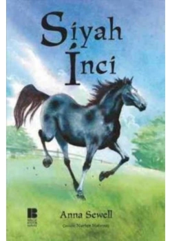 Siyah İnci Bilge Kültür