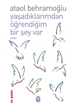 Yaşadıklarımdan Öğrendiğim Birşey Var Tekin