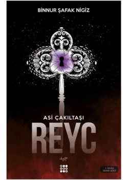 Asi Çakıltaşı Reyc. Binnur Şafak Nigiz Dokuz Yayın