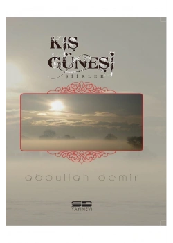 Kış Güneşi Şiirleri Abdullah Demir Sd Yayın