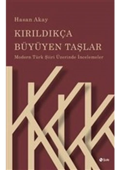 Kırıldıkça Büyüyen Taşlar Hasan Akay Şule Yayın