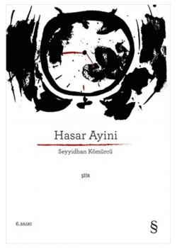 Hasar Ayini. Seyyidhan Kömürcü Everest