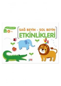 Sağ Beyin Sol Beyin Etkinlikleri 4 Yaş Minik Ada