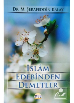 İslam Edebinden Demetler A.Fettah Ebu Gudde  Şerafeddin Kalay    Safa