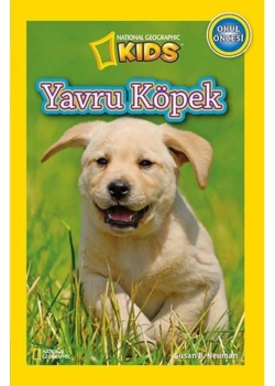 Yavru Köpek