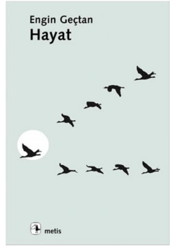 Hayat Engin Geçtan Metis