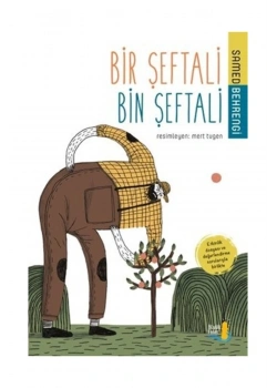 Bir Şeftali Bin Şeftali     Samed Behrengi   Büyülü Fener