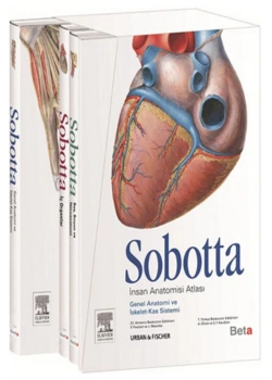 Sobotta İnsan Anatomisi Atlası 3 Cilt Beta