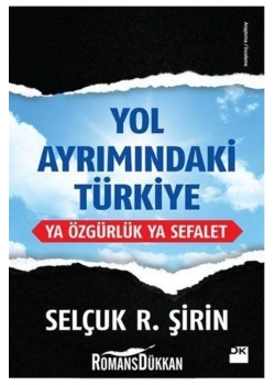 Yol Ayrımındaki Türkiye     Selçuk Şirin      Doğan Kitap