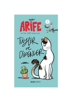 Ari̇Fe Evde Cat Başina Tüyler Ve Di̇Kenler
