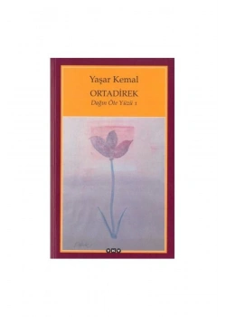 Dağın Öte Yüzü 1 Ortadirek Yaşar Kemal Yapı Kredi
